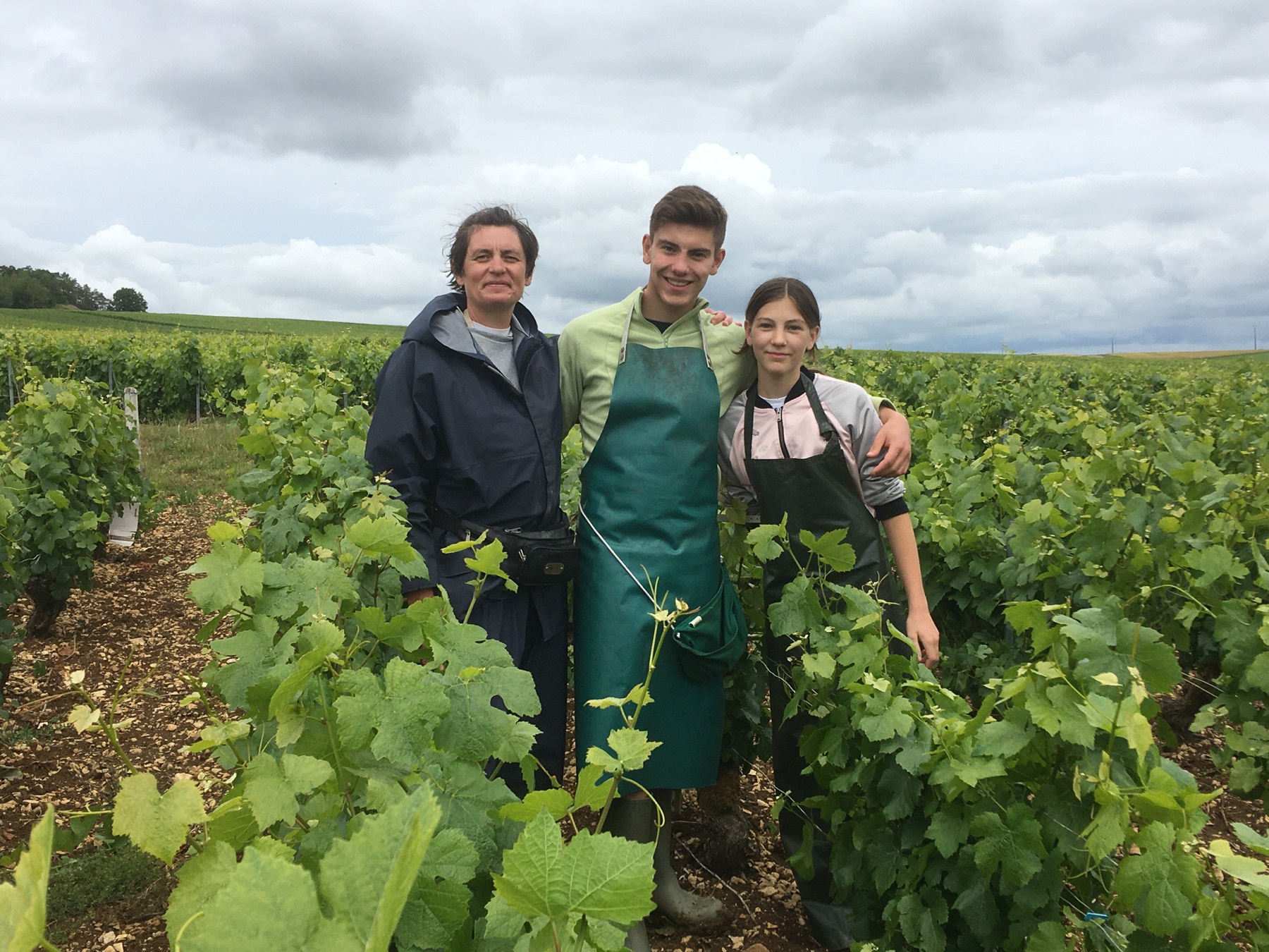 Famille dans les vignes à Channes